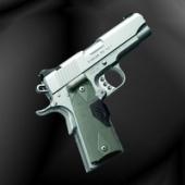 Stainless Pro TLE II (LG) - .45